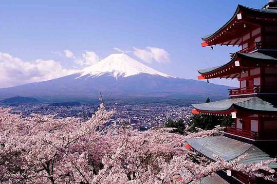 旅游網站建設方案